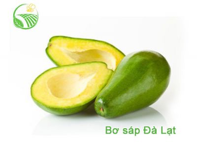 Avocado Avocado
