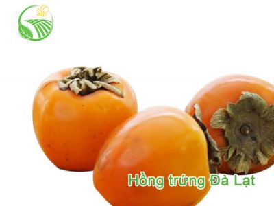 Persimmon Persimmon