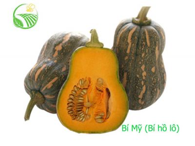 American Pumpkin American Pumpkin
