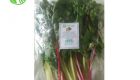 Rainbow Swiss Chard