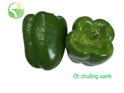 Green Capsicum