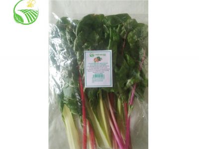 Rainbow Swiss Chard Rainbow Swiss Chard