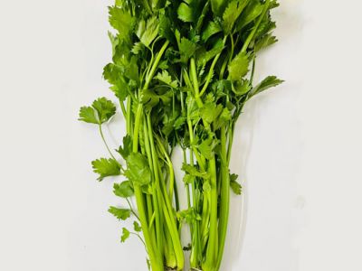 Hydroponics Celery Hydroponics Celery