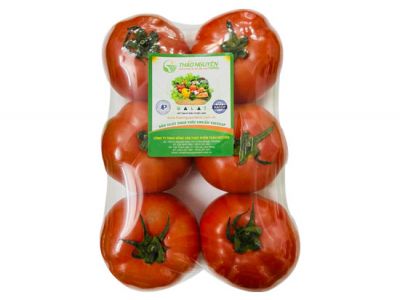 Holand Tomato