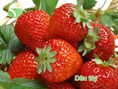 Strawberry Strawberry