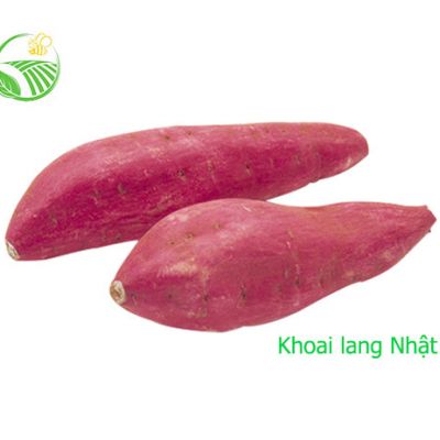 Khoai Lang Nhật