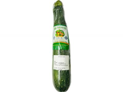 Green Zucchini Green Zucchini