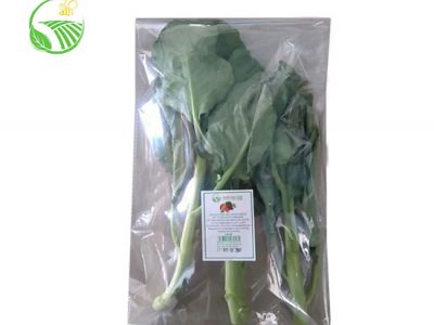 Chinese Brocoli Chinese Brocoli