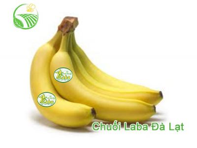 Laba Banana Laba Banana