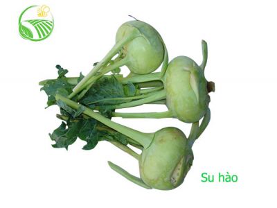 Kohlrabi Kohlrabi