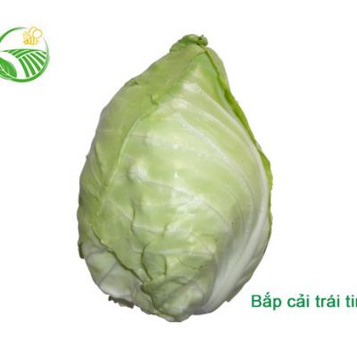 Bắp Cải Trái Tim