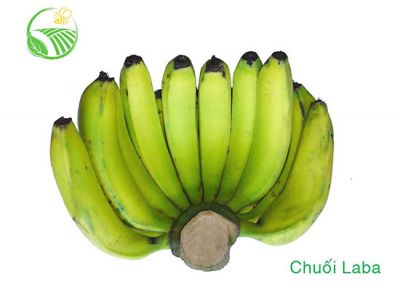 Laba Banana Laba Banana