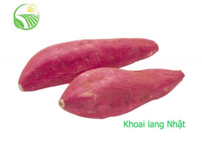 Japanese Sweet Potato Japanese Sweet Potato