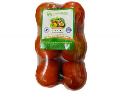 Tomato Tomato