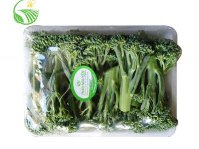 Broccoli Baby Broccoli Baby