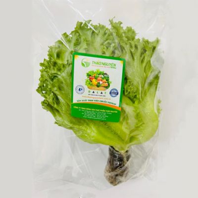 Xà Lách Thủy Tinh Thủy Canh