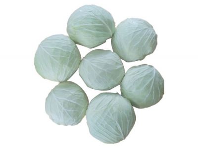 Cabbage Cabbage