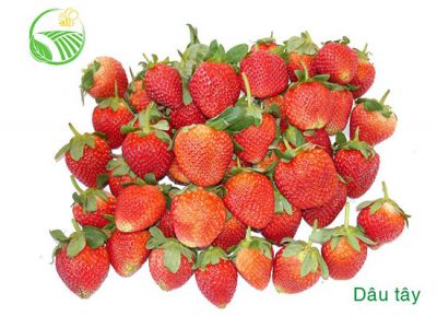 Strawberry Strawberry