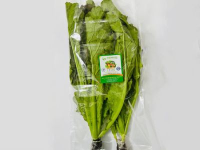 Hydroponic Mustard Leaves Hydroponic Mustard Leaves