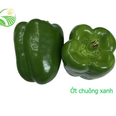 Ớt Chuông Xanh