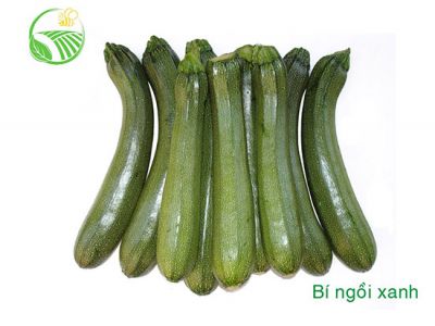 Green Zucchini Green Zucchini
