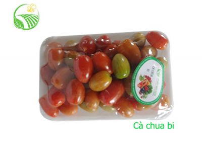 Baby Tomato Baby Tomato