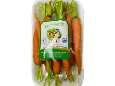 Carrot baby Carrot baby