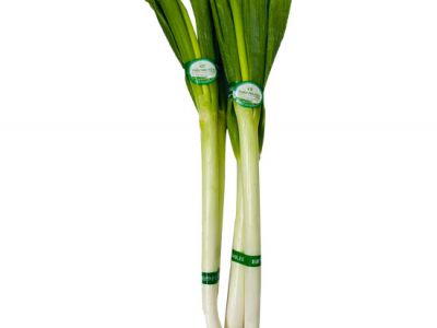 Poireau Onion