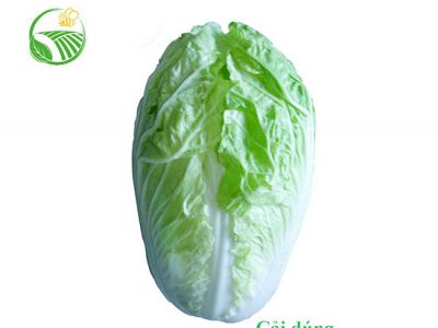 Sui Choy Sui Choy