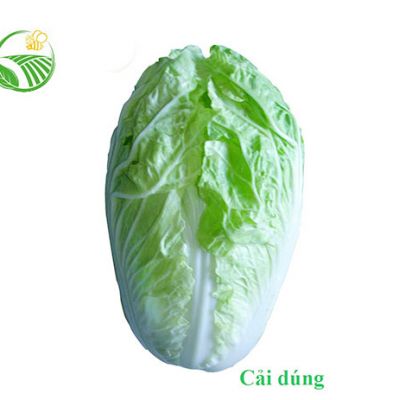 Cải Dúng