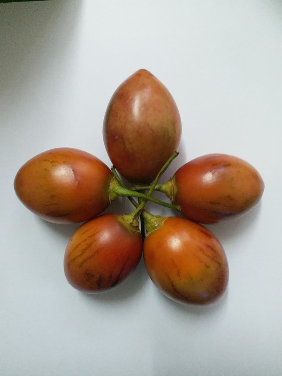 Thumbelina Zoom Image