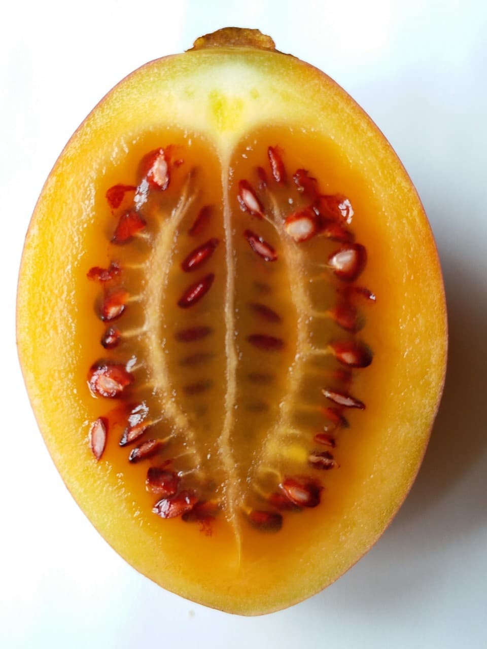 Thumbelina Zoom Image