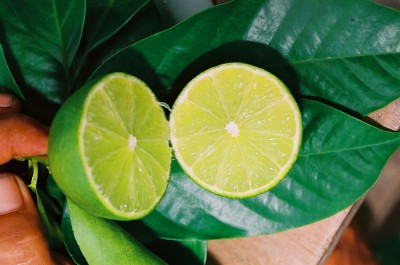 Thumbelina Zoom Image