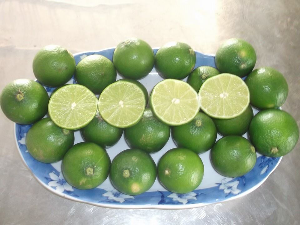 Thumbelina Zoom Image